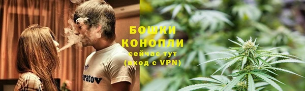 PSILOCYBIN Рославль