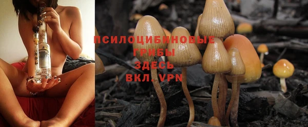 первитин Абинск