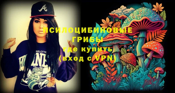 PSILOCYBIN Россошь