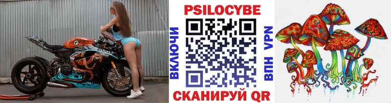 Галлюциногенные грибы Psilocybine cubensis  гидра рабочий сайт  Камень-на-Оби 