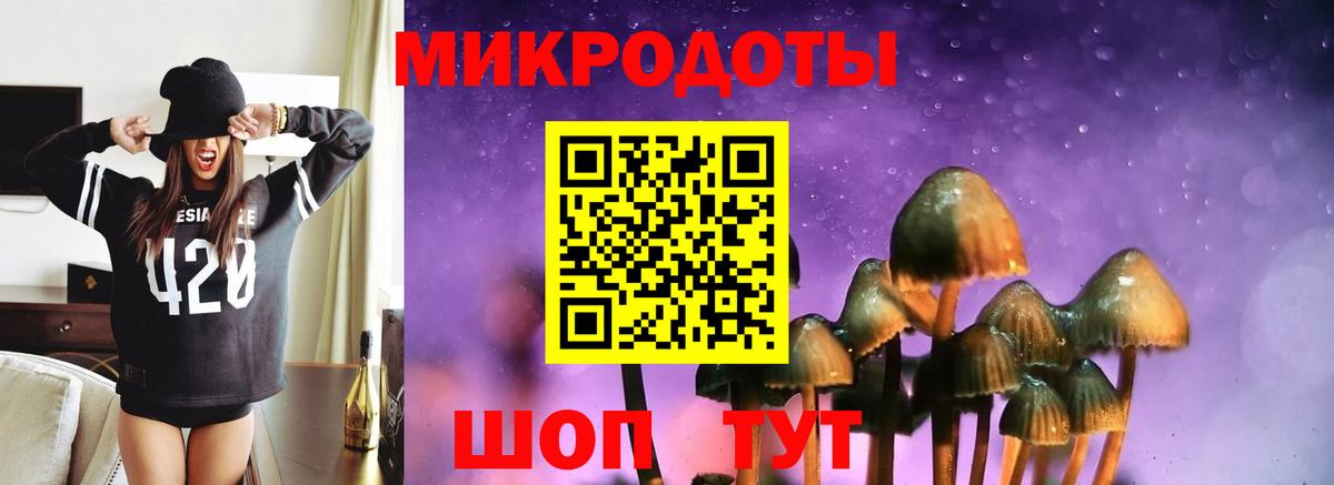 Галлюциногенные грибы прущие грибы  Вход с VPN  Псилоцибиновые грибы Psilocybe  дарнет шоп  Камень-на-Оби 